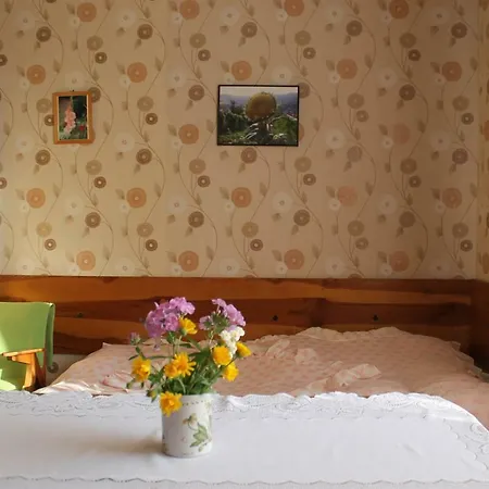 Apartment Michalowka W Szczawnicy Szczawnica